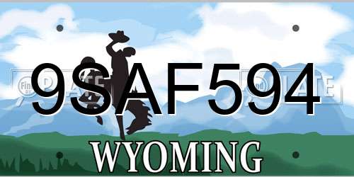 9SAF594 Wyoming License Plate