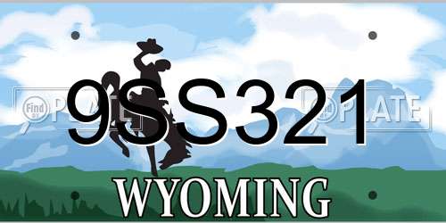 9SS321 Wyoming License Plate
