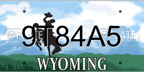 9T84A5 Wyoming License Plate