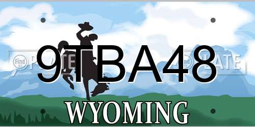 9TBA48 Wyoming License Plate