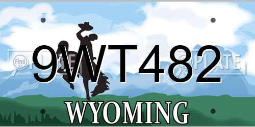 9WT482 Wyoming License Plate