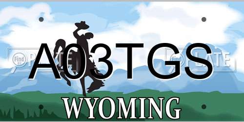 A03TGS Wyoming License Plate