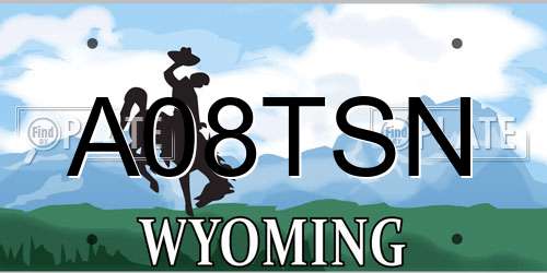 A08TSN Wyoming License Plate