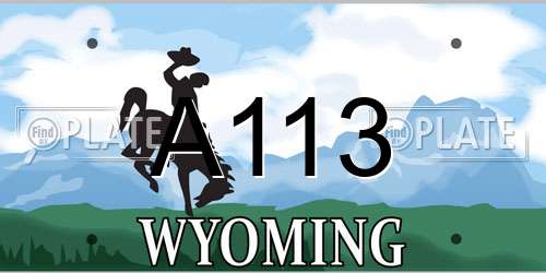 A113 Wyoming License Plate