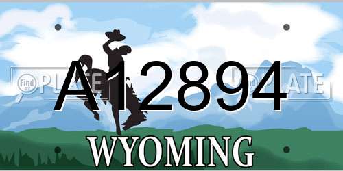 A12894 Wyoming License Plate