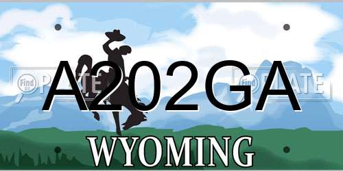A202GA Wyoming License Plate