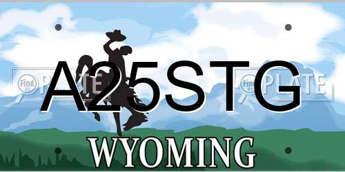 A25STG Wyoming License Plate