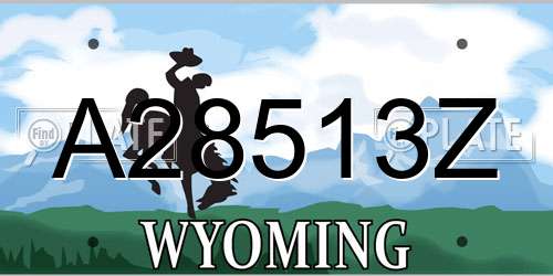A28513Z Wyoming License Plate