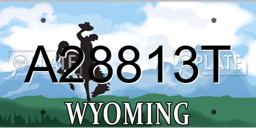 A28813T Wyoming License Plate
