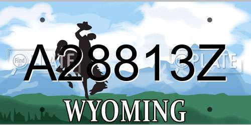 A28813Z Wyoming License Plate