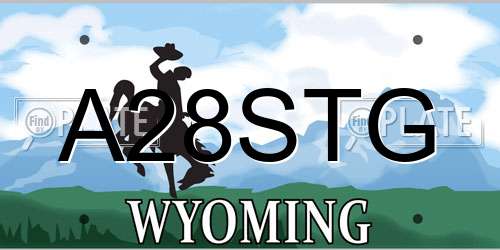 A28STG Wyoming License Plate