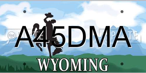 A45DMA Wyoming License Plate