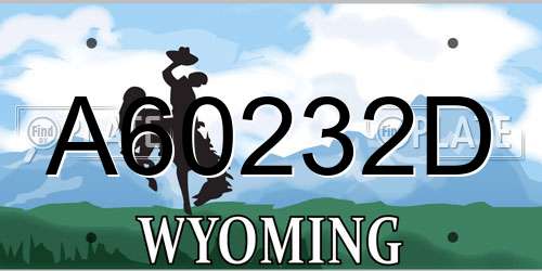 A60232D Wyoming License Plate