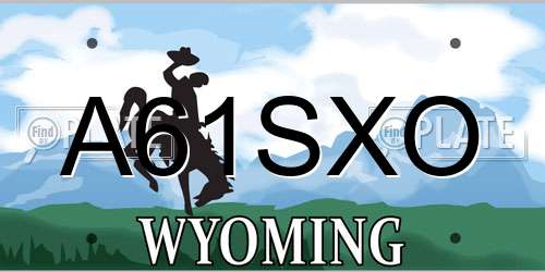 A61SXO Wyoming License Plate