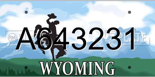 A643231 Wyoming License Plate
