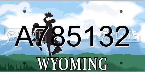 A785132 Wyoming License Plate