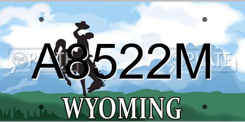 A8522M Wyoming License Plate