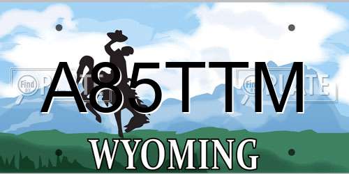 A85TTM Wyoming License Plate