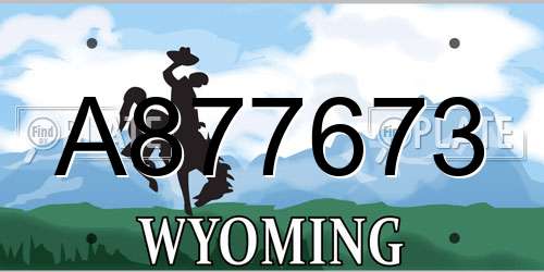 A877673 Wyoming License Plate