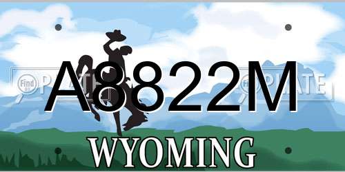 A8822M Wyoming License Plate