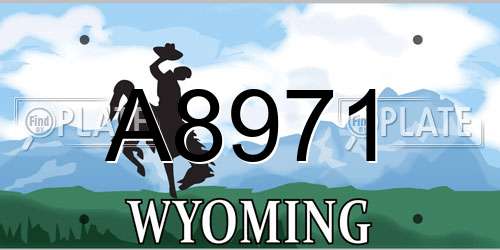 A8971 Wyoming License Plate