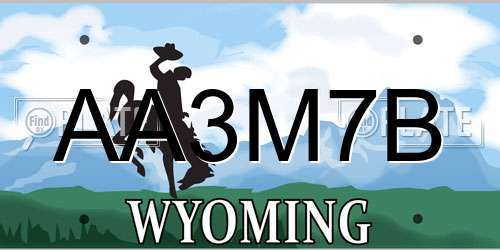 AA3M7B Wyoming License Plate