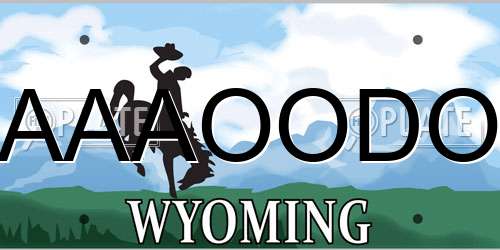 AAAOODO Wyoming License Plate