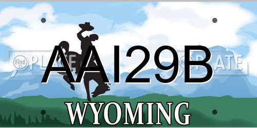 AAI29B Wyoming License Plate