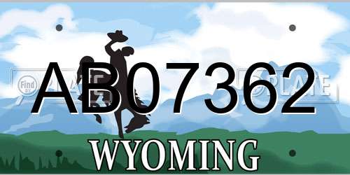 AB07362 Wyoming License Plate