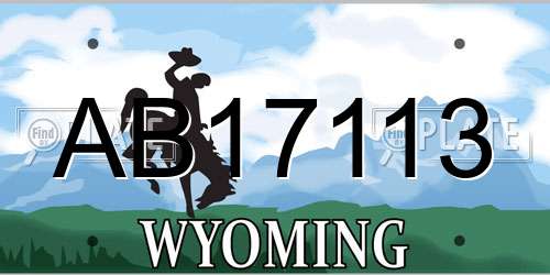 AB17113 Wyoming License Plate