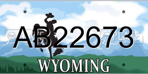 AB22673 Wyoming License Plate
