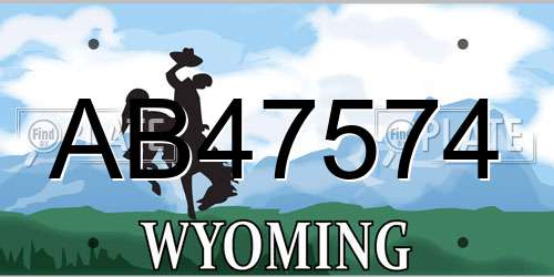 AB47574 Wyoming License Plate