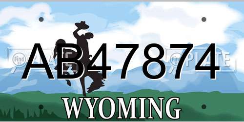 AB47874 Wyoming License Plate