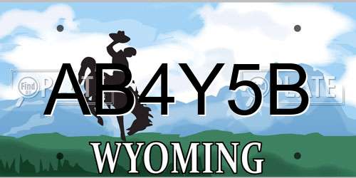 AB4Y5B Wyoming License Plate