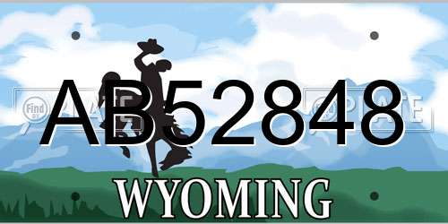 AB52848 Wyoming License Plate