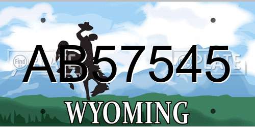 AB57545 Wyoming License Plate