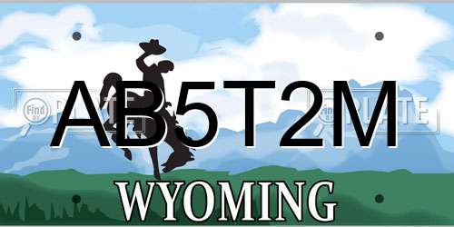AB5T2M Wyoming License Plate