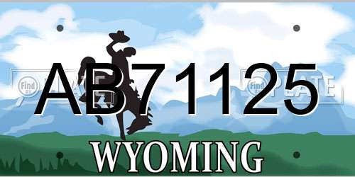 AB71125 Wyoming License Plate