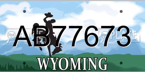 AB77673 Wyoming License Plate