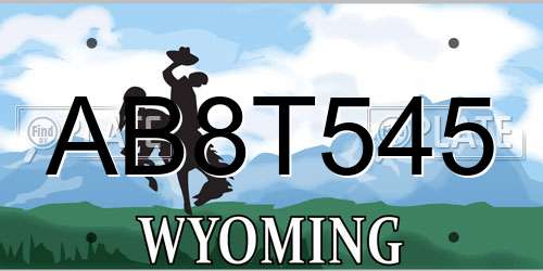 AB8T545 Wyoming License Plate