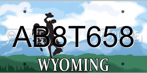 AB8T658 Wyoming License Plate