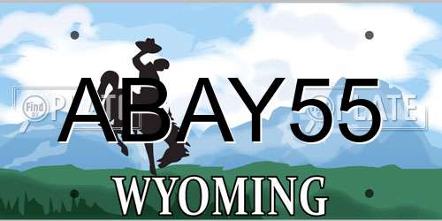 ABAY55 Wyoming License Plate