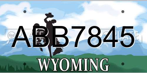 ABB7845 Wyoming License Plate