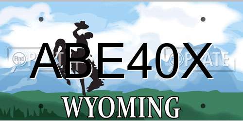 ABE40X Wyoming License Plate