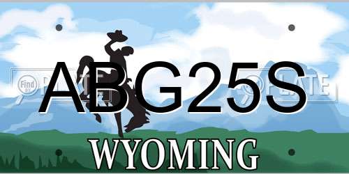 ABG25S Wyoming License Plate