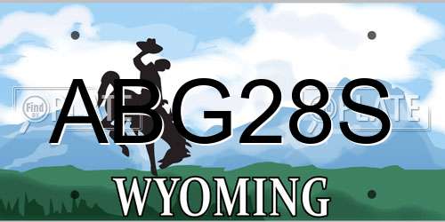 ABG28S Wyoming License Plate