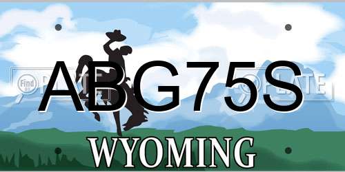 ABG75S Wyoming License Plate