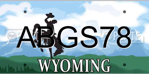 ABGS78 Wyoming License Plate