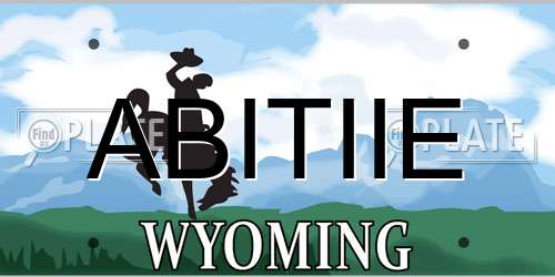 ABITIIE Wyoming License Plate