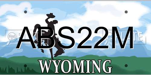 ABS22M Wyoming License Plate